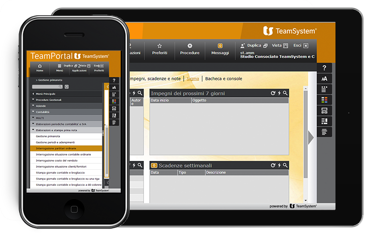 teamportal-home iPhone-iPad